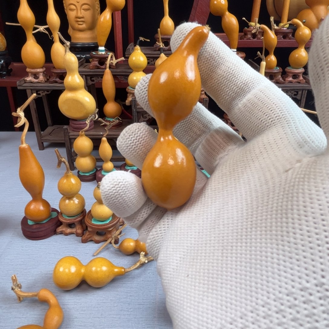 ****海藤木我的小可爱，一点也不像个女孩