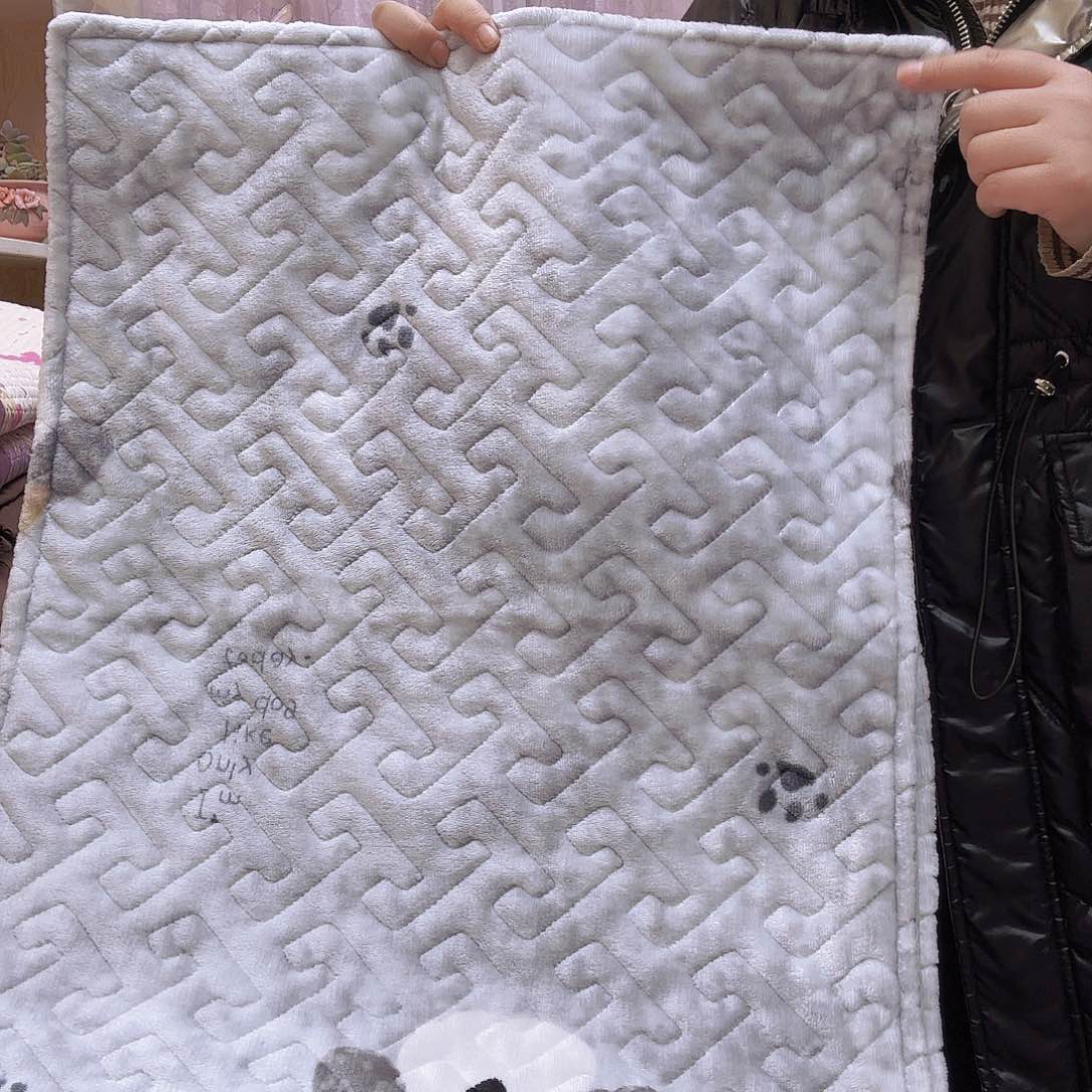 水洗布牛奶绒整套灰色小狗一对