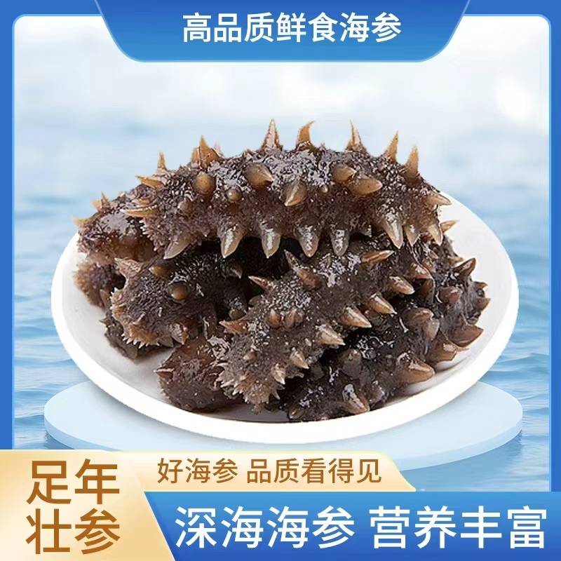 30头9公分上下左右大连即食海参现场称辽刺参无冰冷冻保存