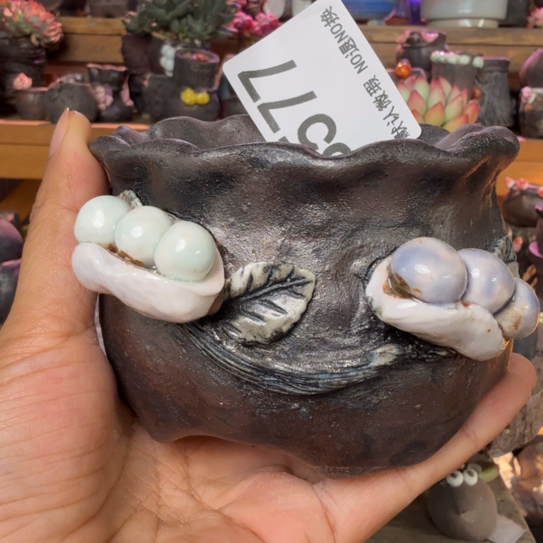 重庆小燕子欢迎大家577