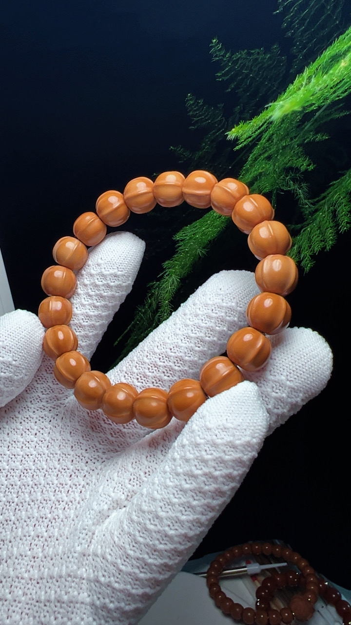 猴头 雕刻鲨鱼背mm 毕业sss 9+mm—12+mm