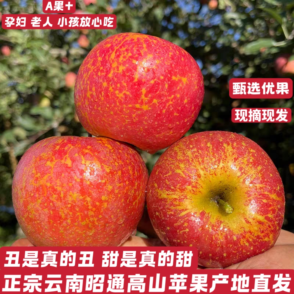精选云南昭通丑苹果高山种植孕妇水果新鲜现摘脆甜多汁冰糖心苹果