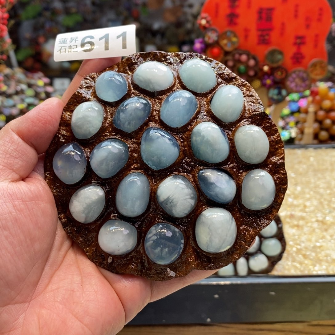 核桃木/黑胡桃（胡桃木）611海蓝
