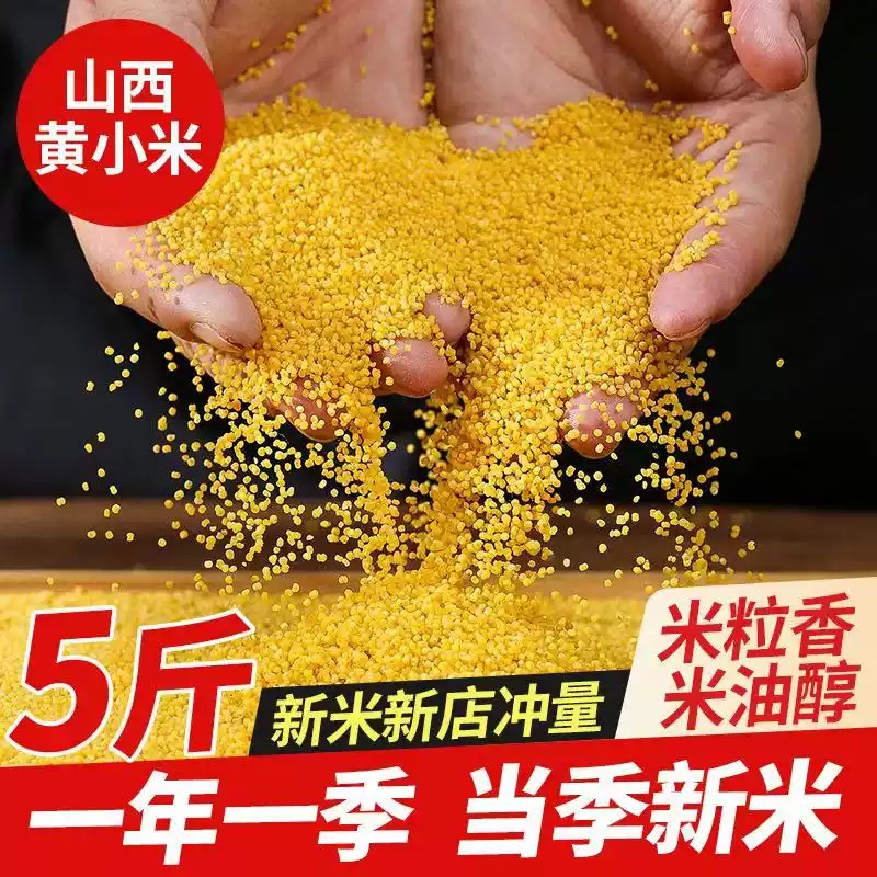 山西黄小米新米5斤农家自产西河底小米粥小黄米五谷杂粮优质2.5kg