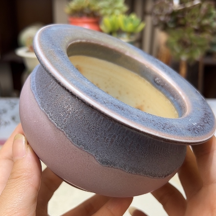 景德镇陶瓷研究所