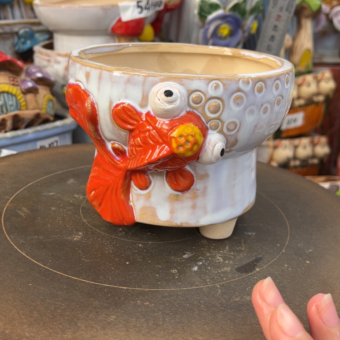 凑满15包邮发货发货