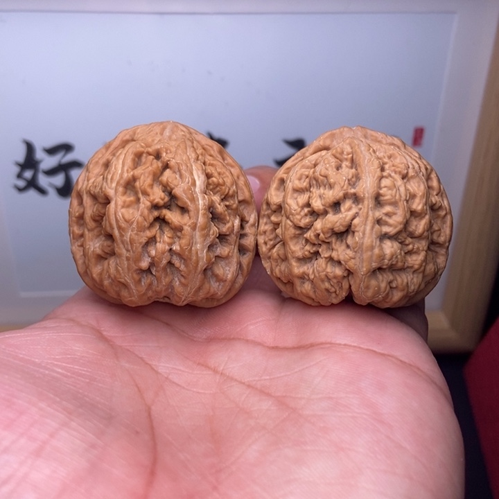叶***@核桃小尺寸大粗筋