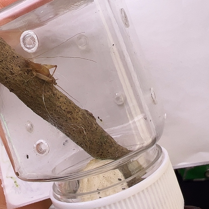 我***a哈哈哈哈哈哈哈哈哈哈