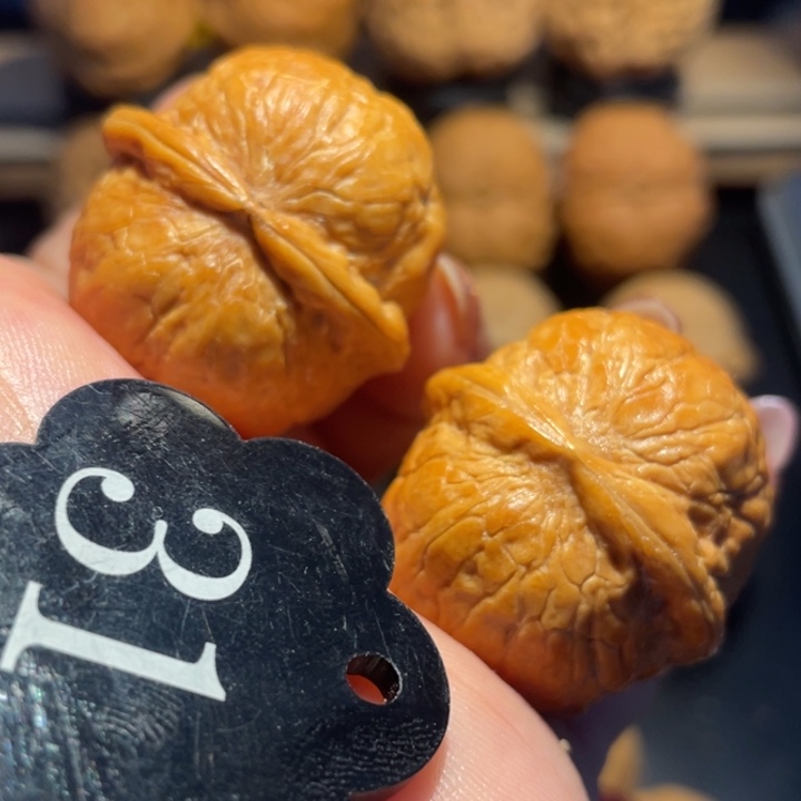 小丸子核桃尺寸33