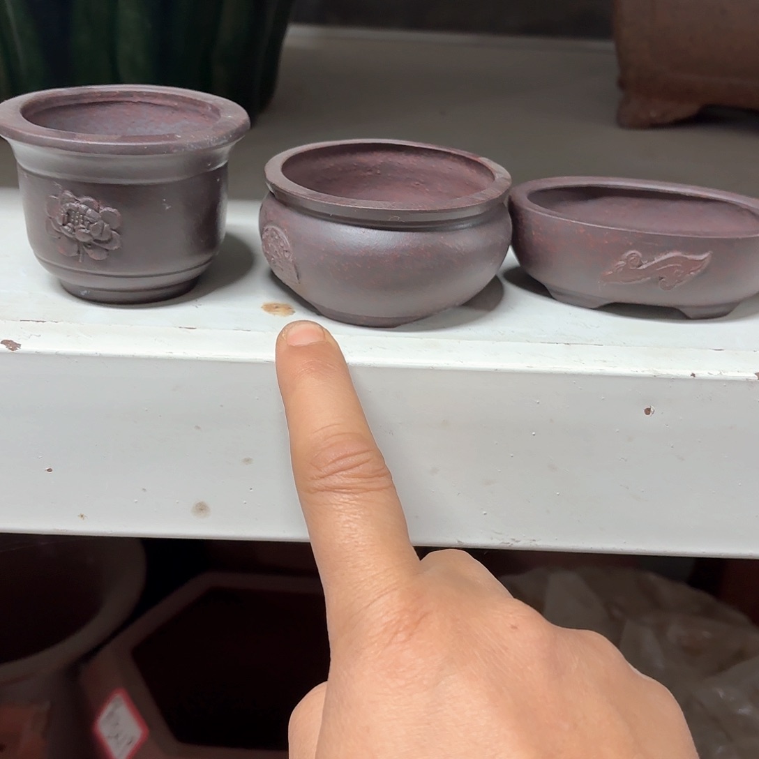 紫砂花盆荣*紫砂的花开了