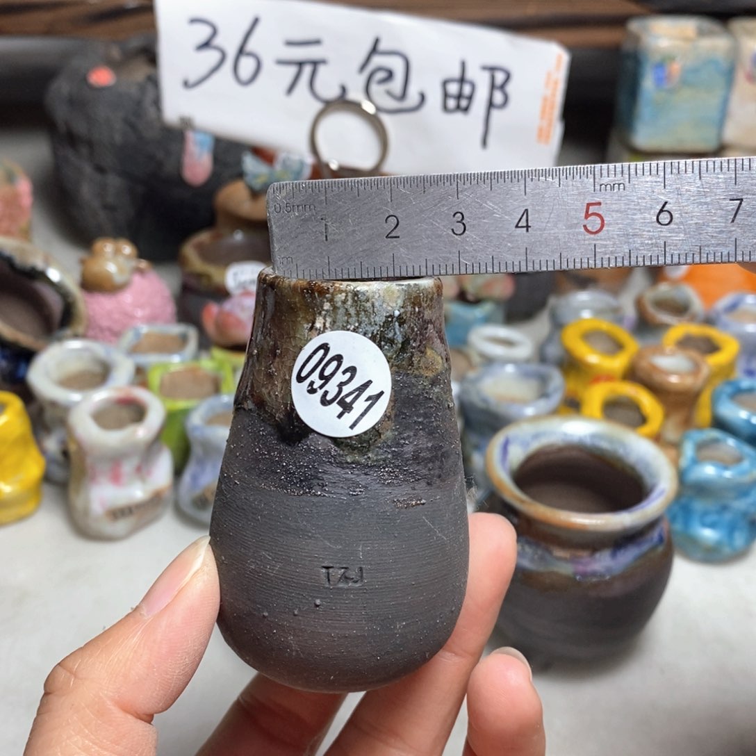 拍5送一个小礼物