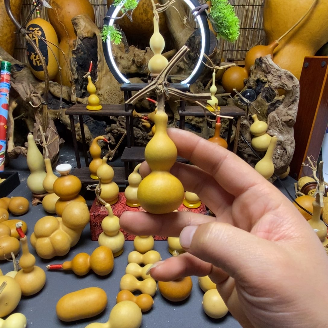 ****༊天津嘴观音瓶葫芦