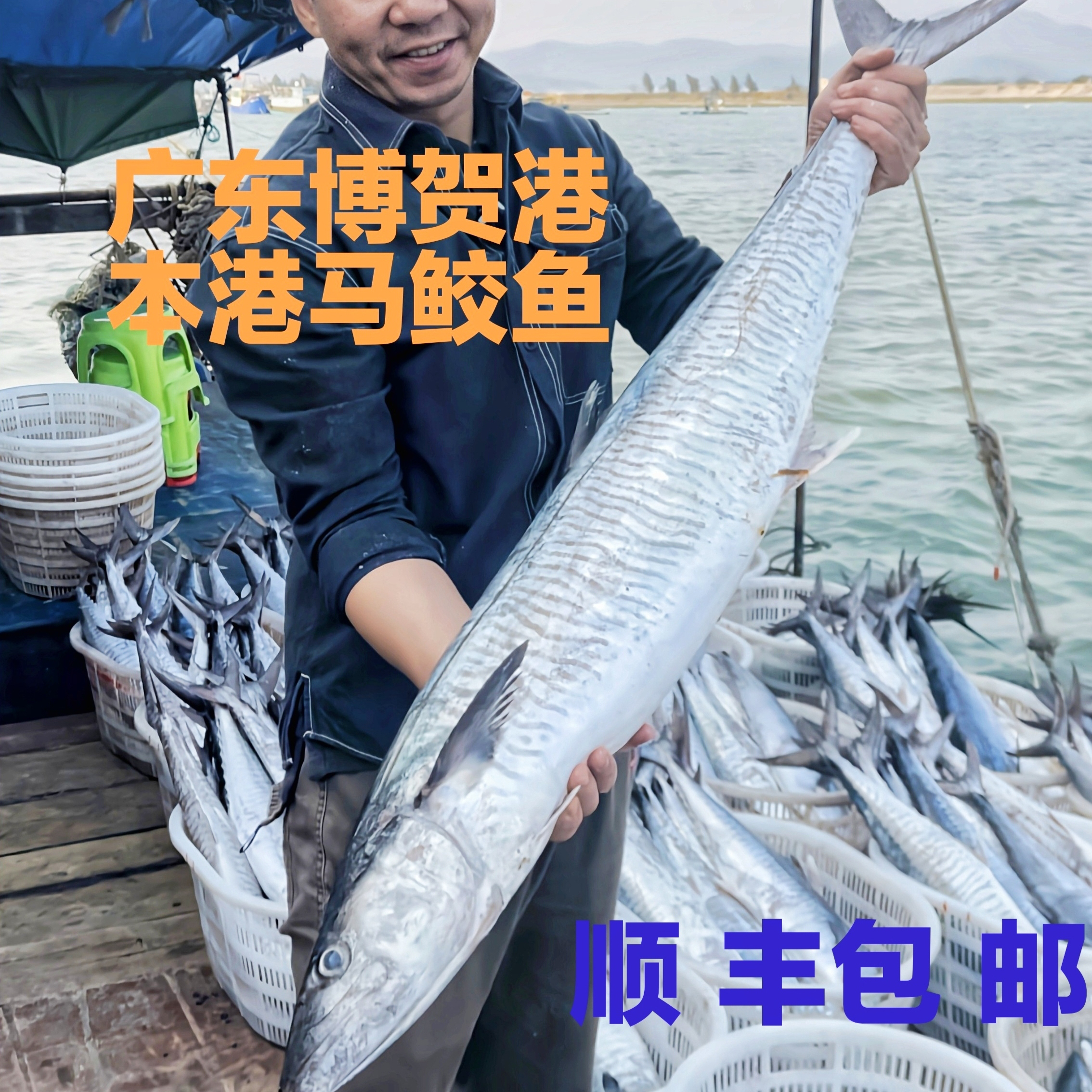 【马鲛仔海产】4-4.9斤本港马鲛鱼海鲜整条切片抽真空发货新鲜速冻顺丰包邮茂名博贺港炸鱼