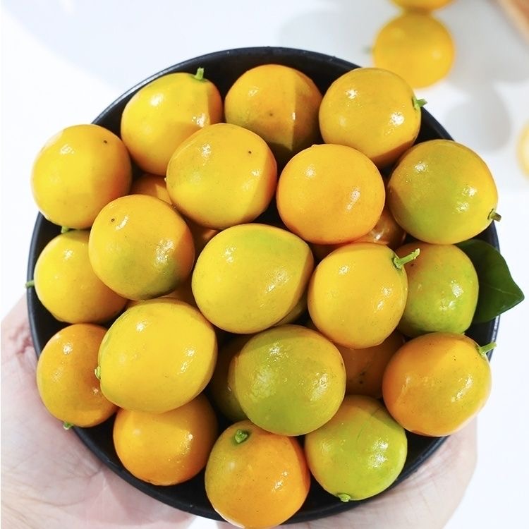 【纯甜金桔】广西当季脆皮金桔新鲜小橘子绿色水果无酸广西特产水果