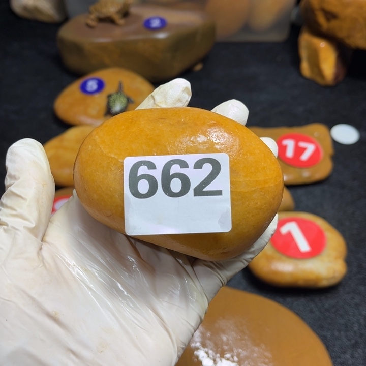 -***猫香榧木木头人的生活节奏会越来越