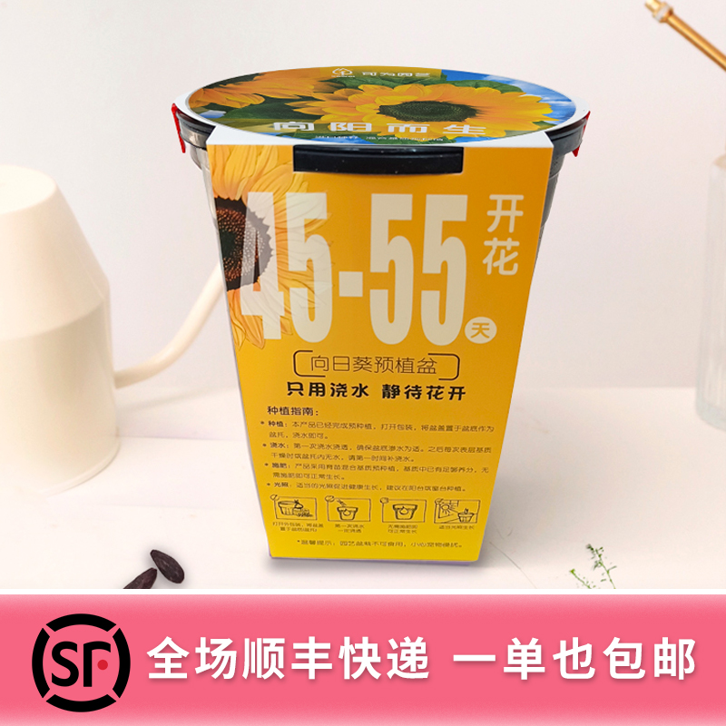 （一举夺魁）云南成品向阳而生上海顺丰发货