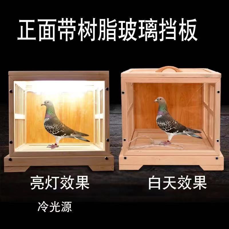 鸽子专用展示笼带照明功能多款尺寸适合直播使用极速飞羽