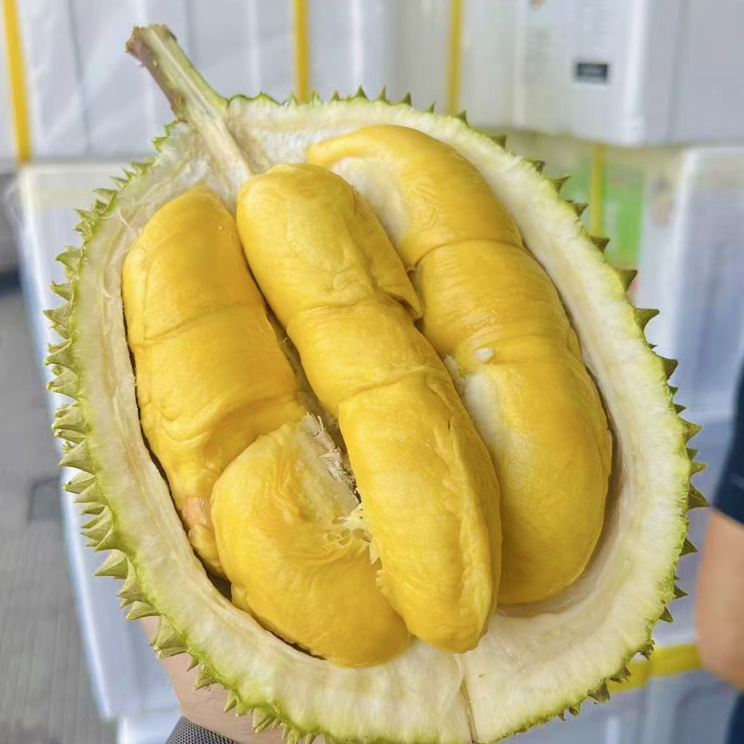 新鲜猫山王马来西亚空运一果一重核小 非液氮冷冻猫山王马来西亚