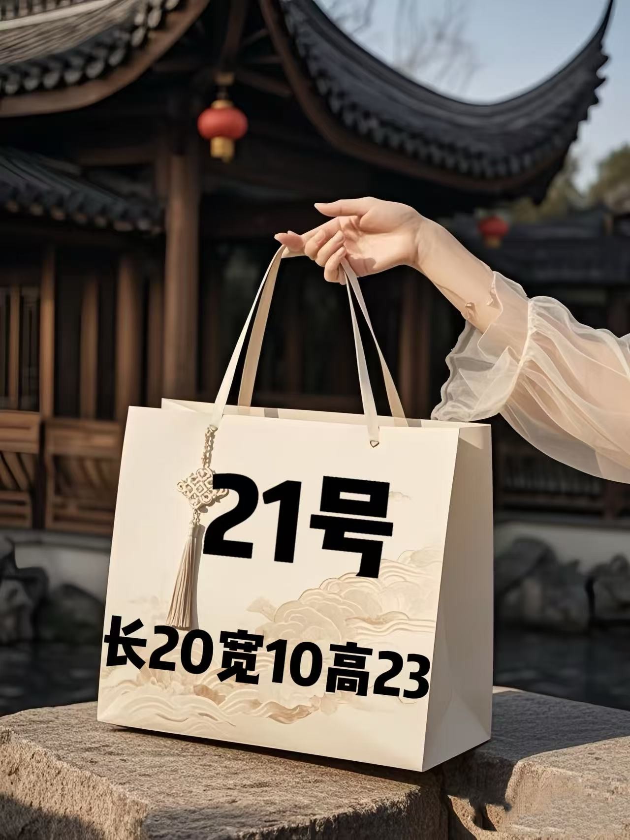 （21）号小号双肩包简约百搭A78396-1