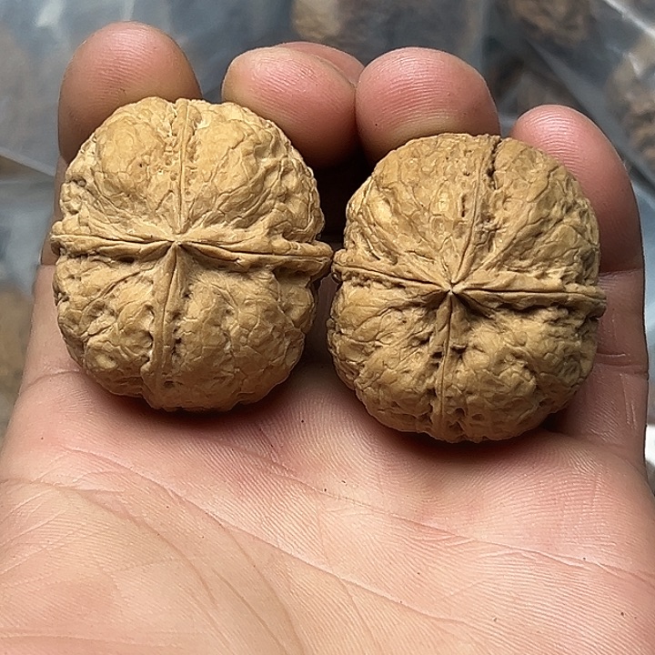 把件文玩核桃17号龙爪四楞39尺
