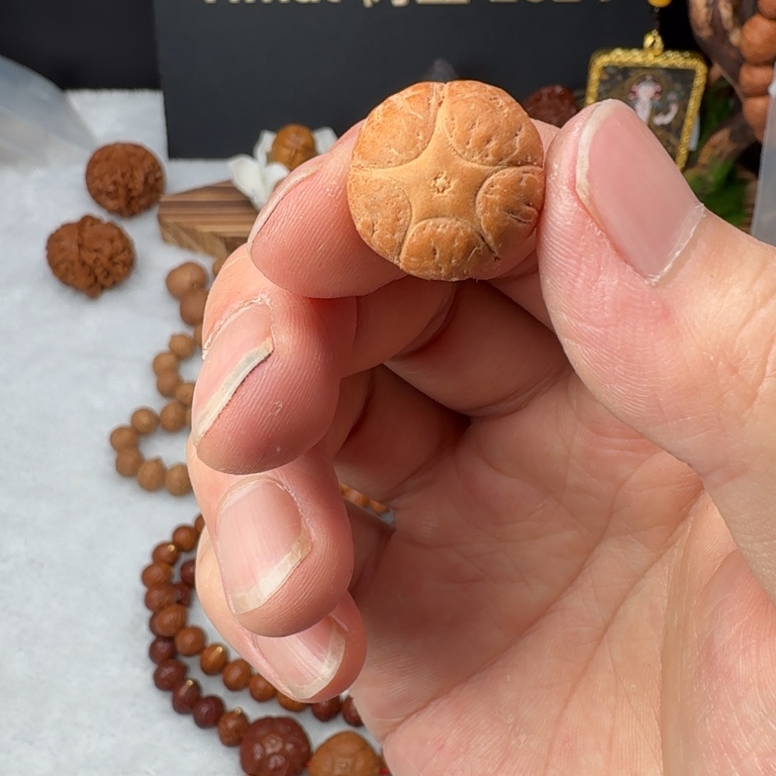 1***1凤眼菩提吊坠五星三通