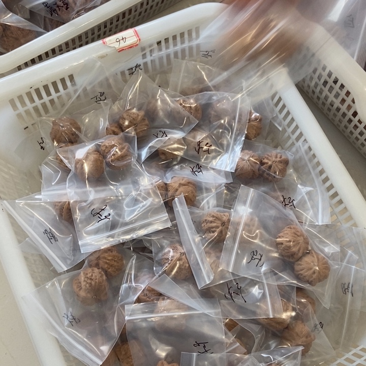 吊坠文玩核桃战鼓