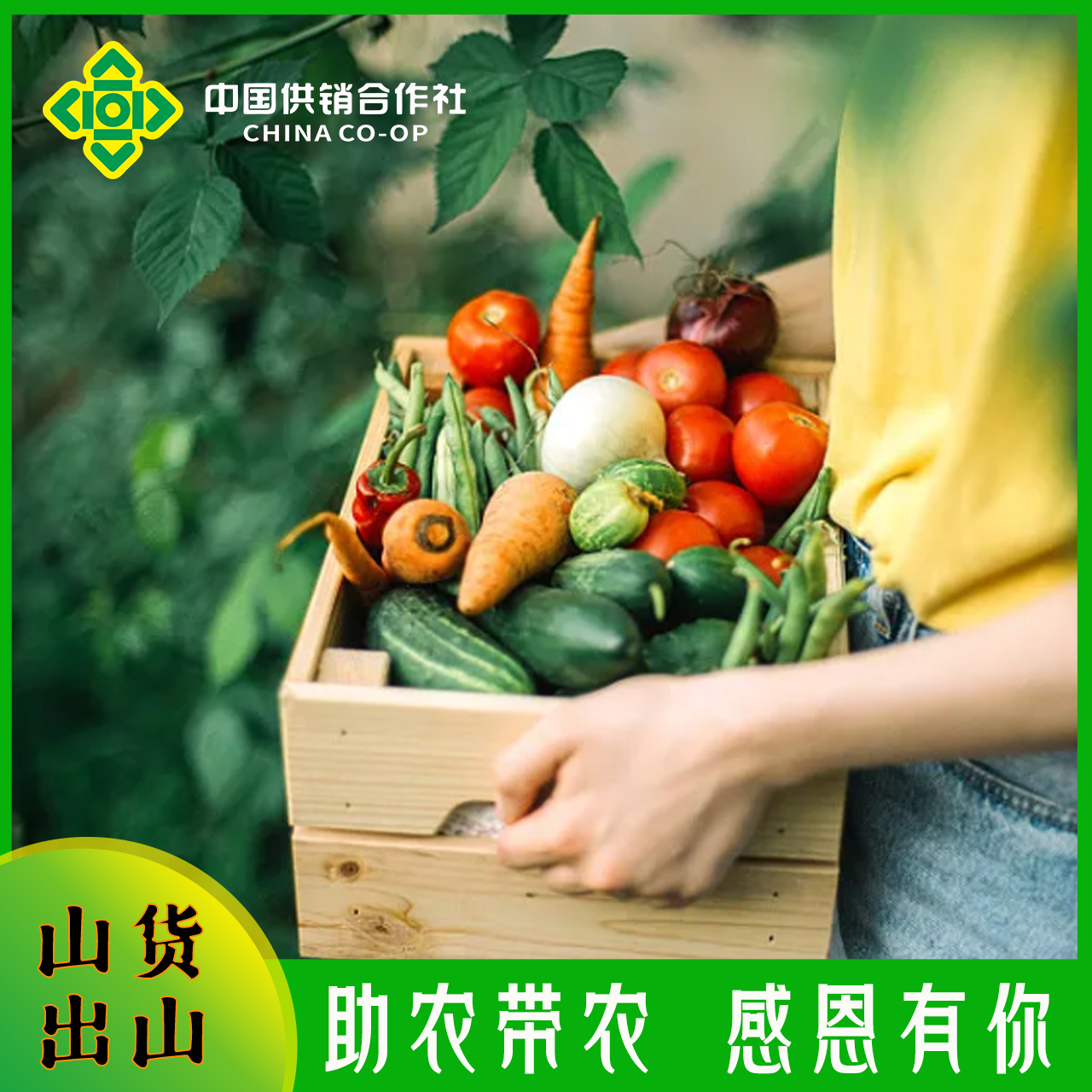 (林书记代卖)高山农产品一物一拍