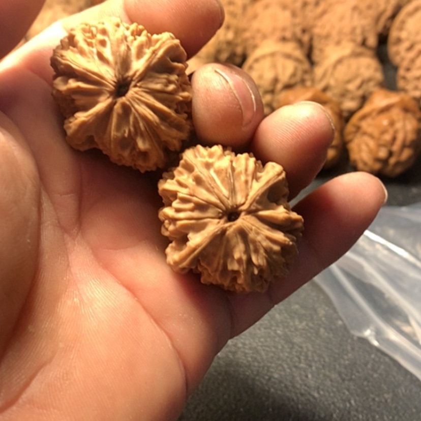 【闪购商品】灿*龙眼