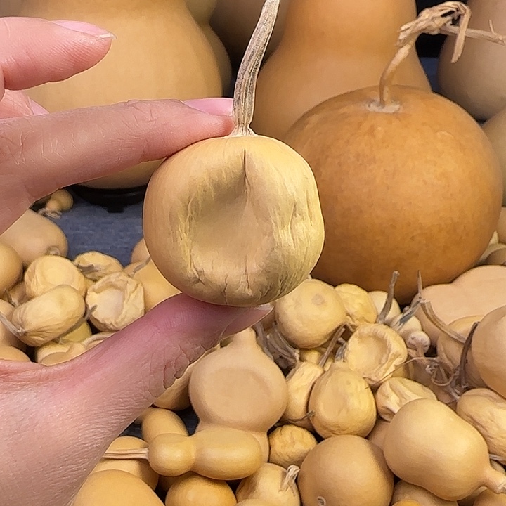 葫芦微瑕天裂 一一一51