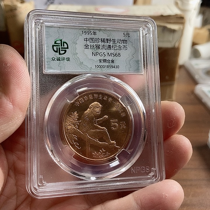 合金金丝猴 众诚评级68