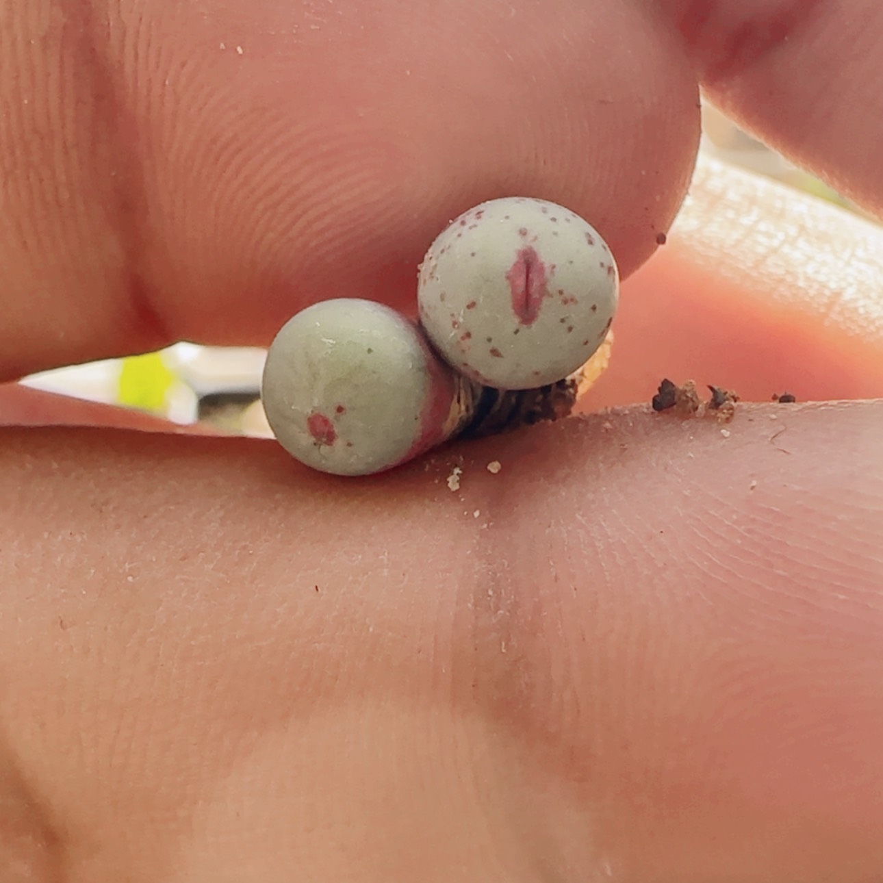 【闪购商品】用****921011