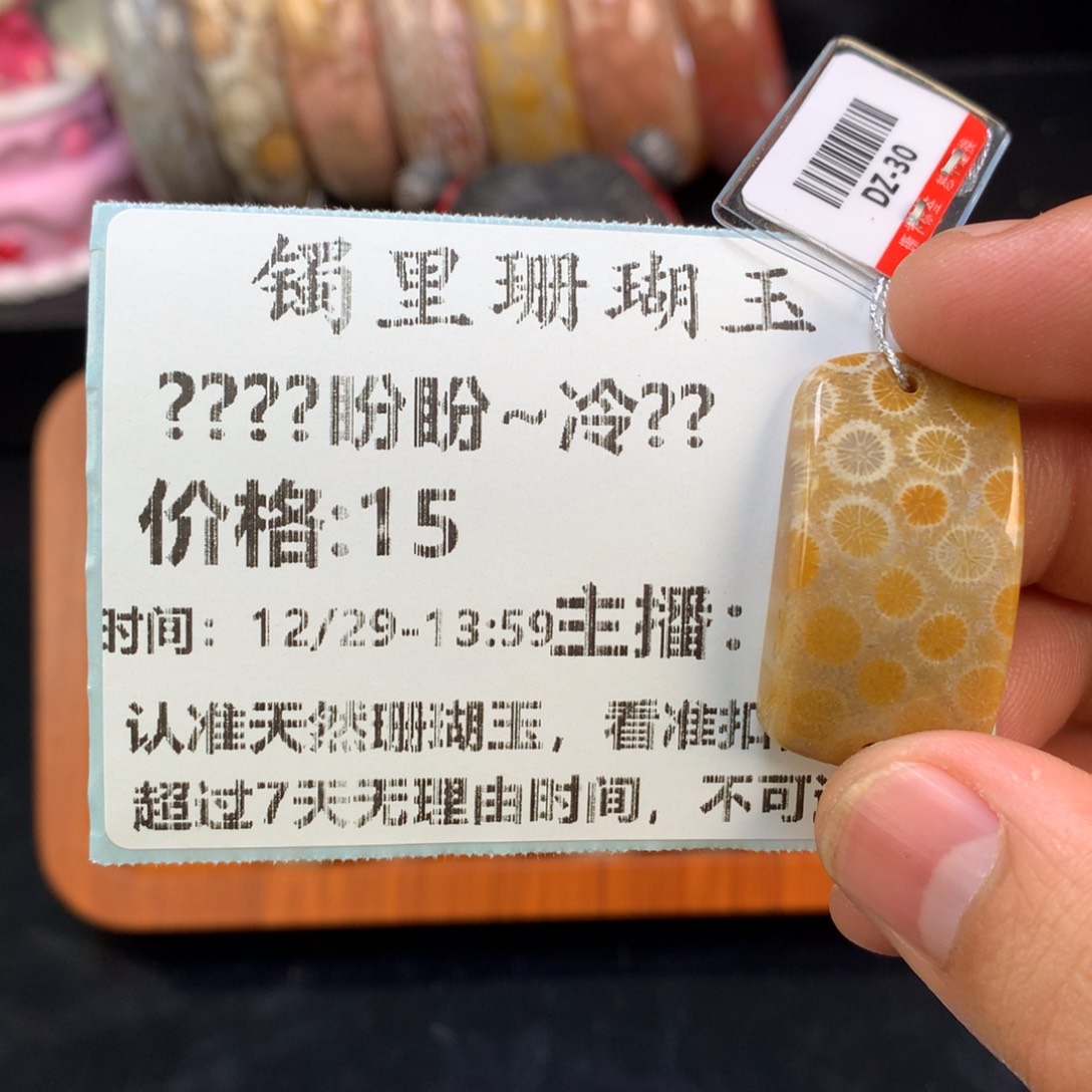 *****硅化珊瑚（珊瑚玉）未镶嵌颈饰