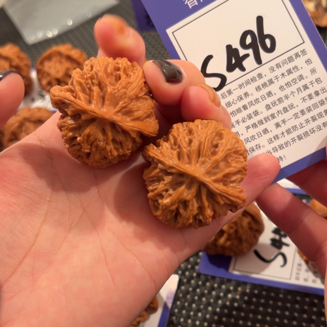 核桃S496号苹果园40尺