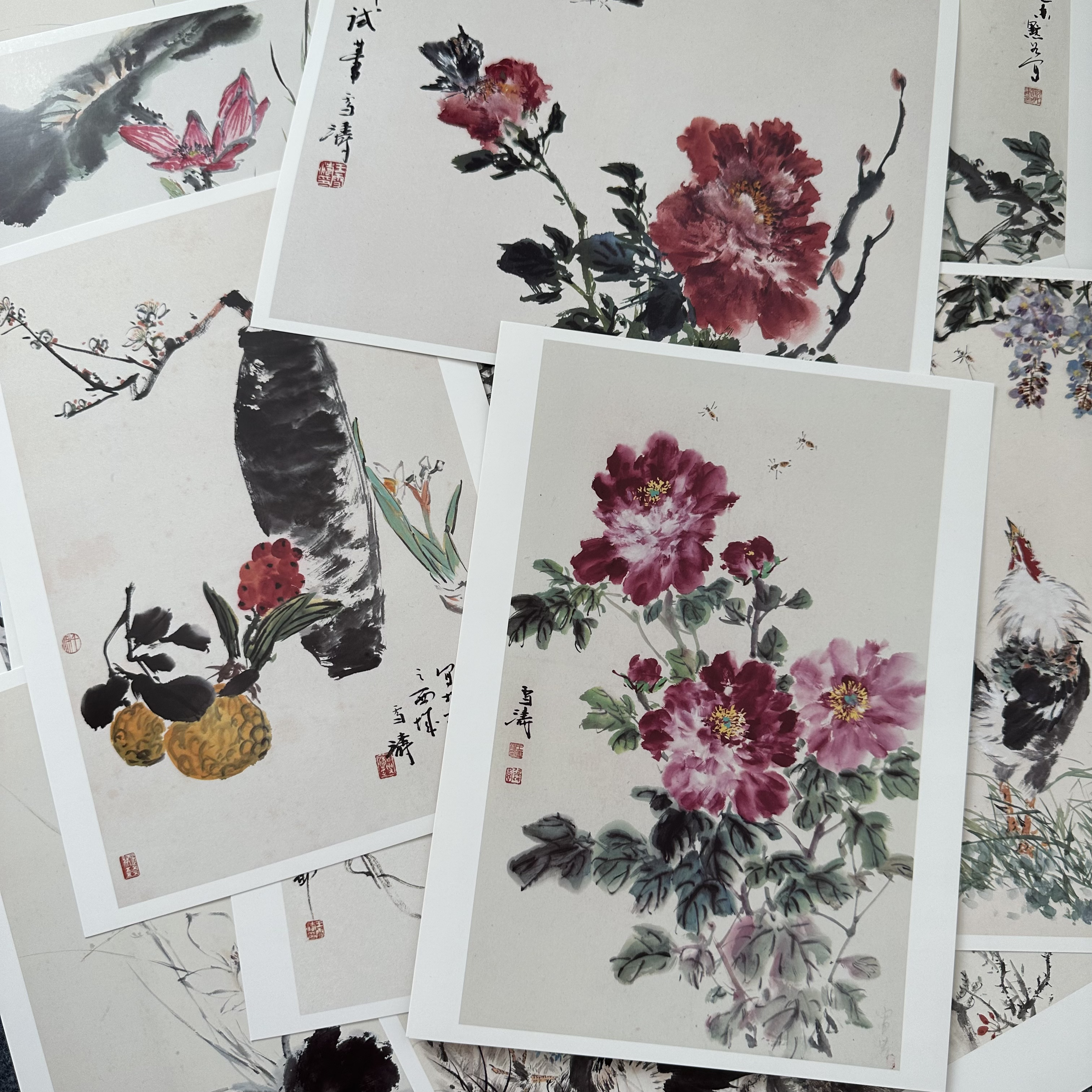 王雪涛花鸟画卡 写意花鸟小品范图 国画临摹卡 书画培训资料