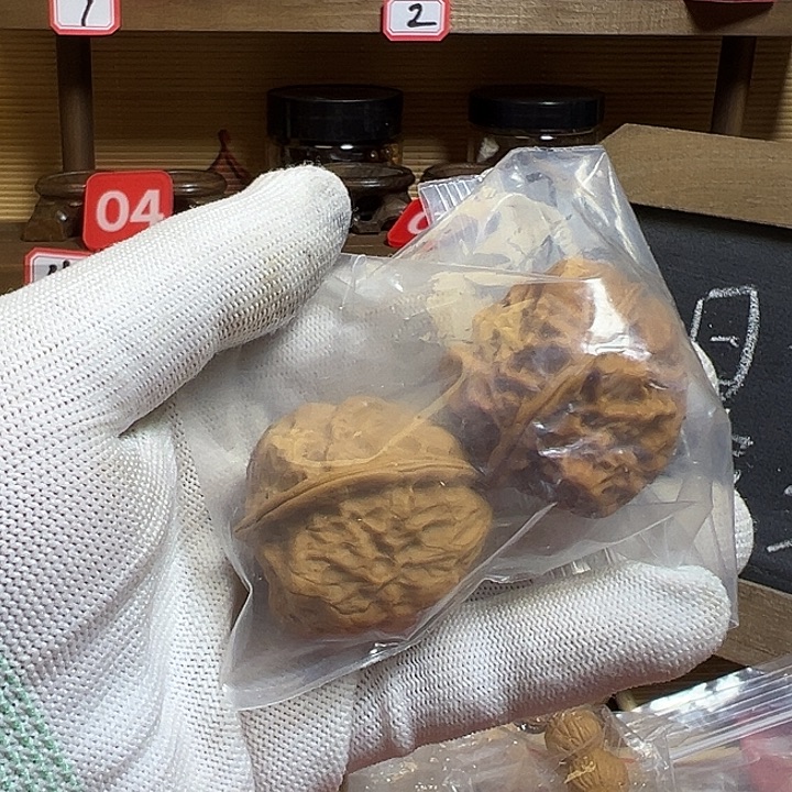 吊坠文玩核桃毒蝎子