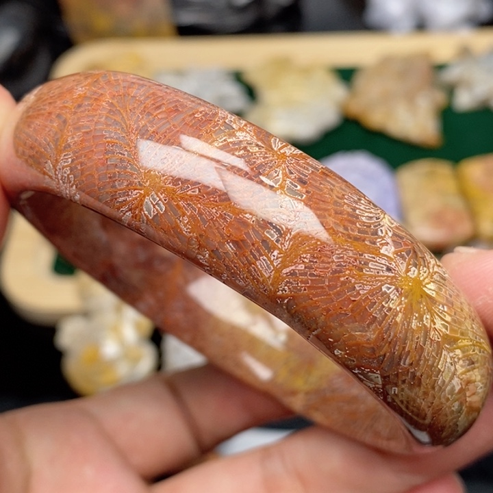 硅化珊瑚（珊瑚玉）手镯未镶嵌62