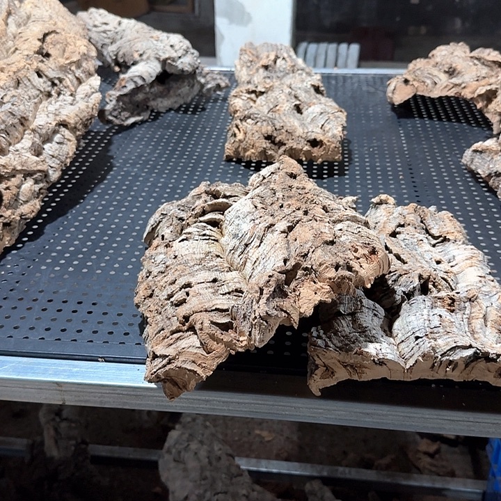 y***n完全开放56一物一拍一物一发