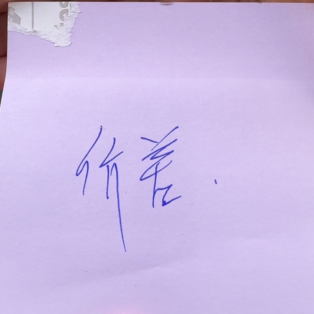 琥珀未镶嵌颈饰琥珀