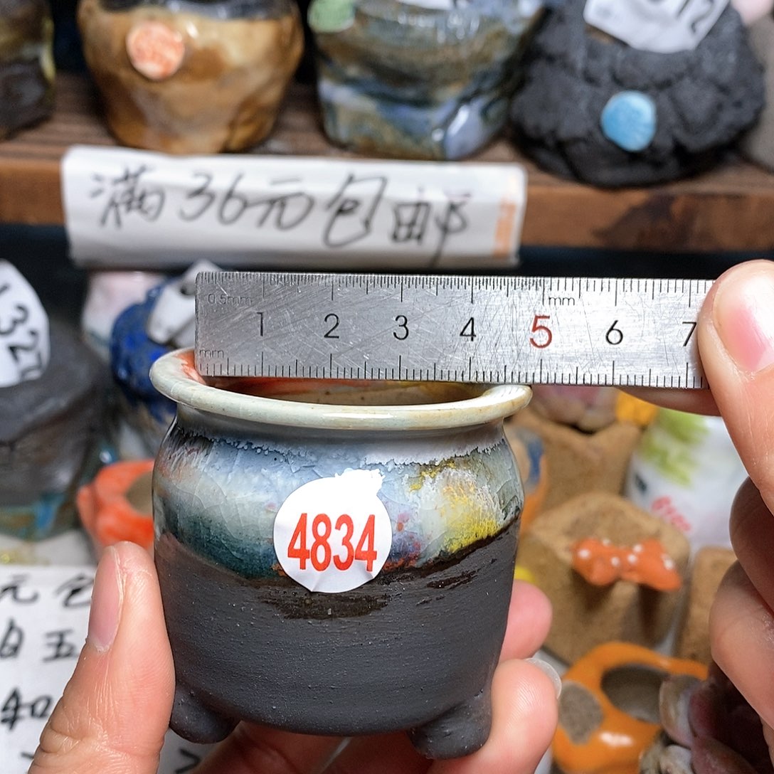 红陶拍5送一个小
