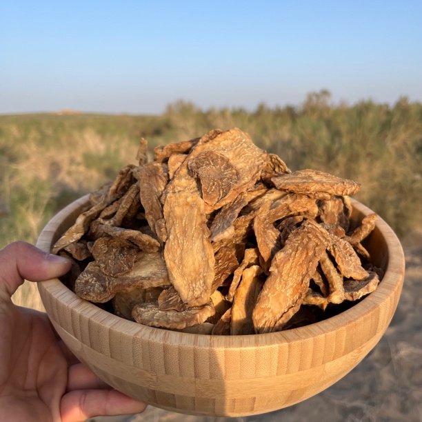 和田荒漠肉苁蓉50g精选切片泡水煲汤泡酒新疆和田直发顺丰包邮