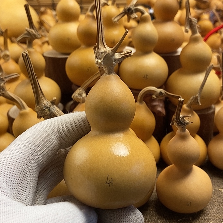 文玩葫芦 完美主义者 慎拍41