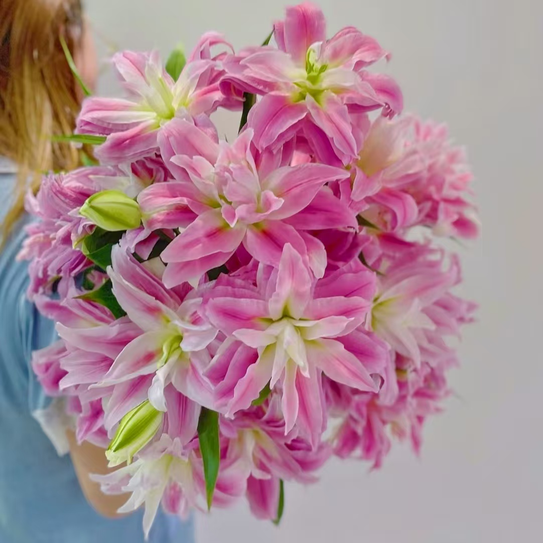 5枝红丝带双头百合10个花苞 (两单发顺丰或京东快递) 