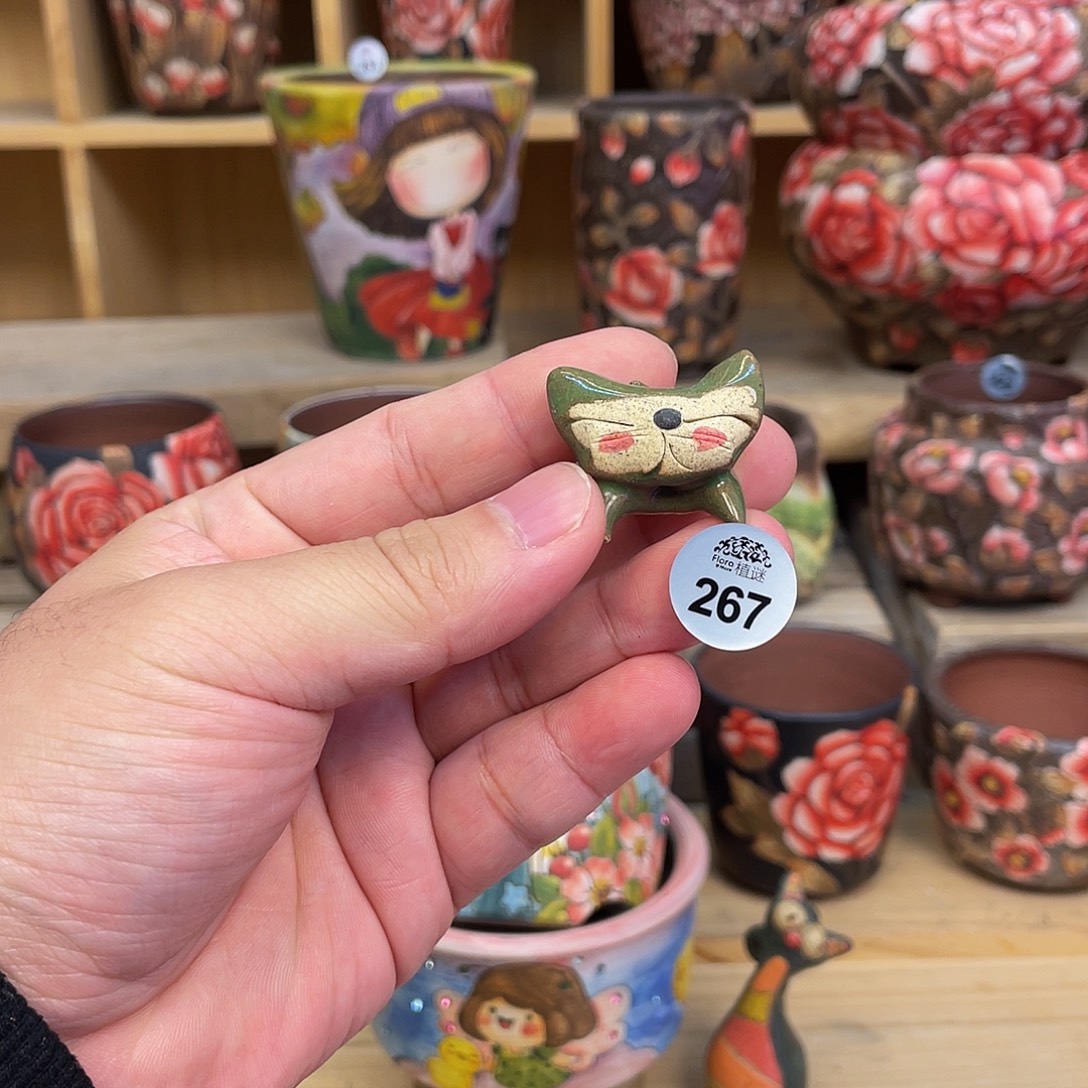 妖***妖267韩国丑猫清仓福利