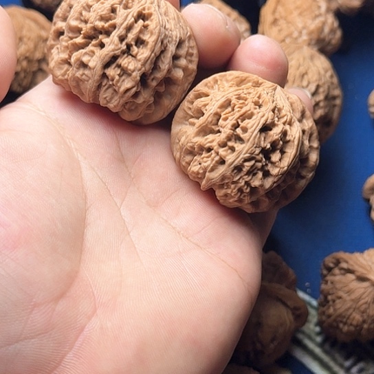 45全品无修大粗筋