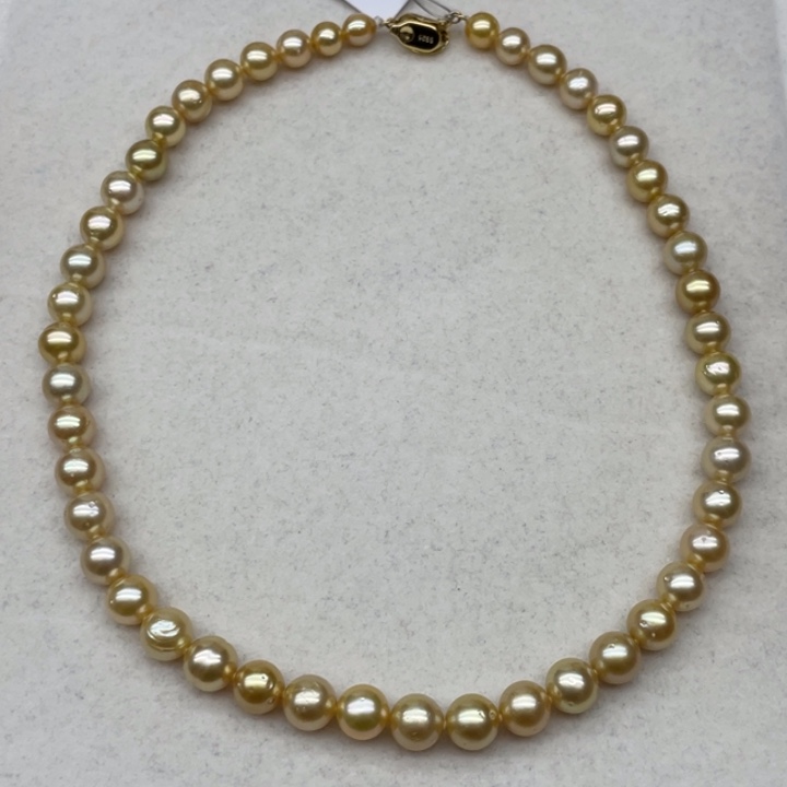 未镶嵌项链海水珍珠南洋金珠6.3-8.9熊猫点位