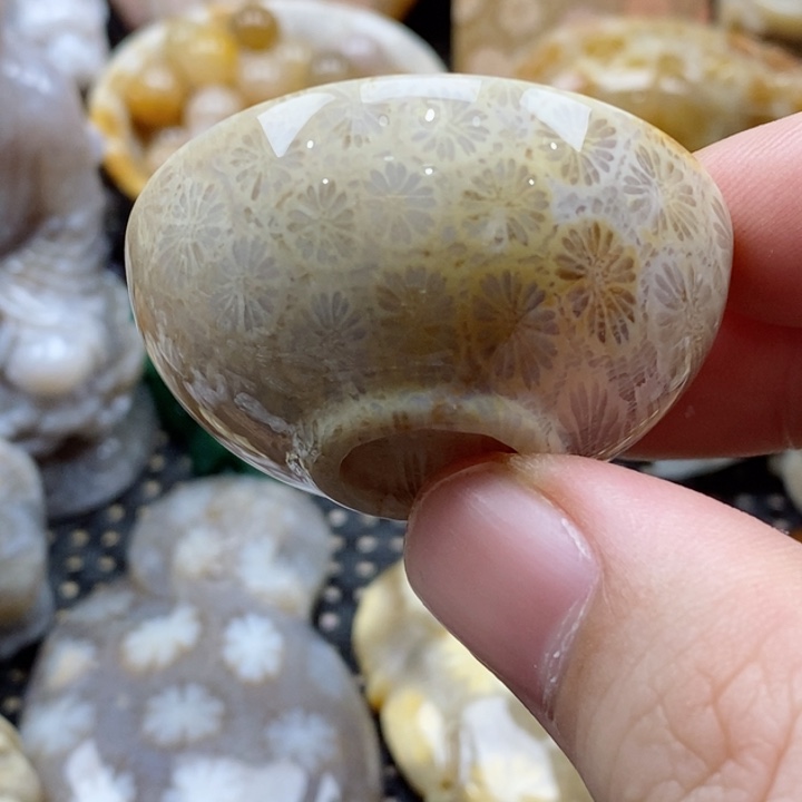硅化珊瑚（珊瑚玉）颈饰未镶嵌