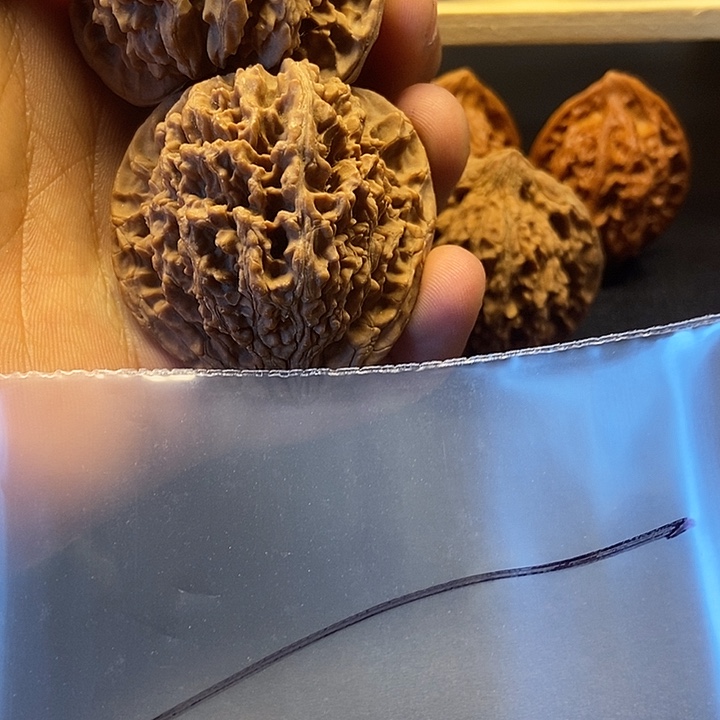 大叶紫檀（黑酸枝木类）二号