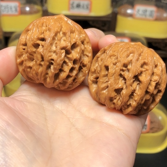 特价秒杀：球体九龙筋43尺