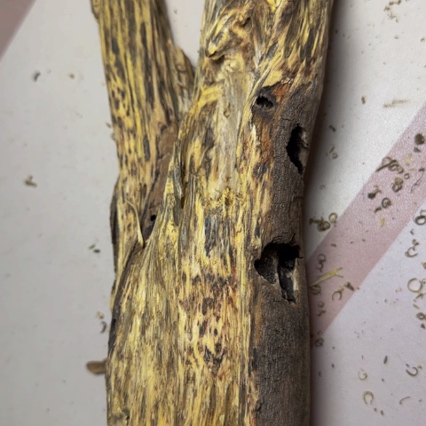 伽***康沉香碎屑沉香上炉料668克白棋