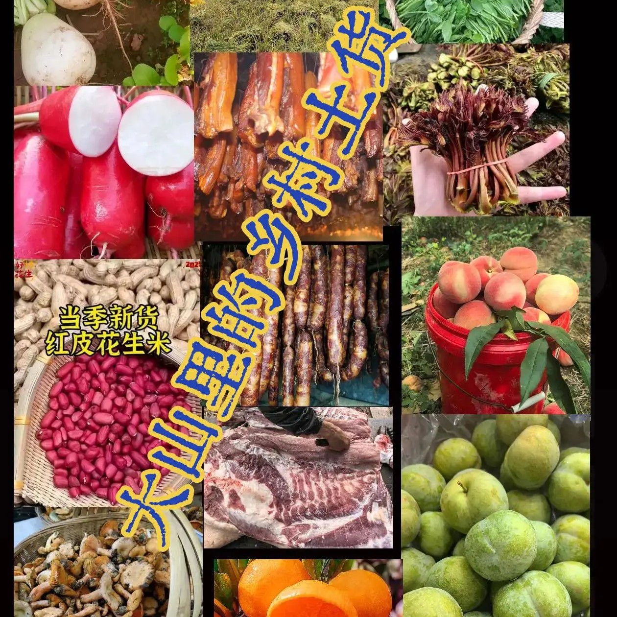 忠县表妹乡村季节农产品土货综合链接